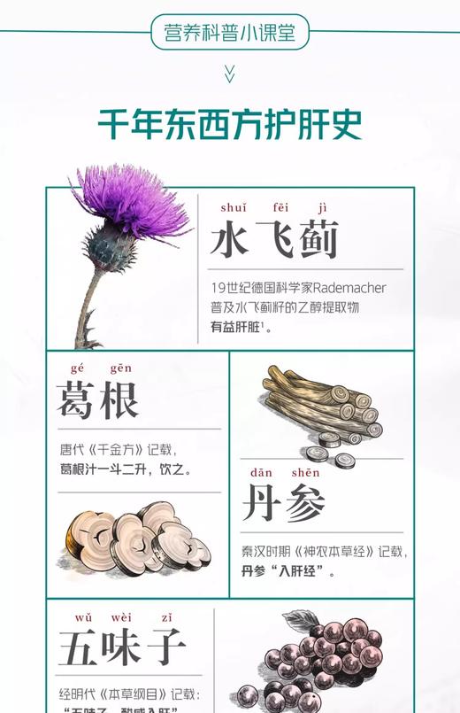 健安适牌水飞蓟葛根丹参片 商品图2