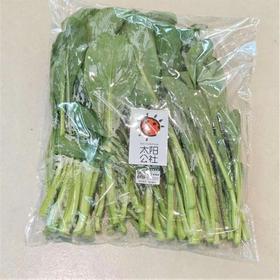 太阳公社有机菜心 250g/份
