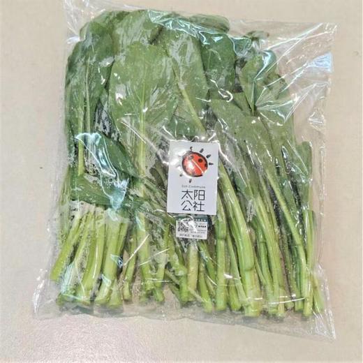 太阳公社有机菜心 250g/份 商品图0
