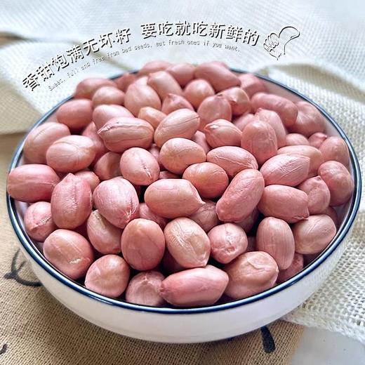 山东大花生米500克 商品图2