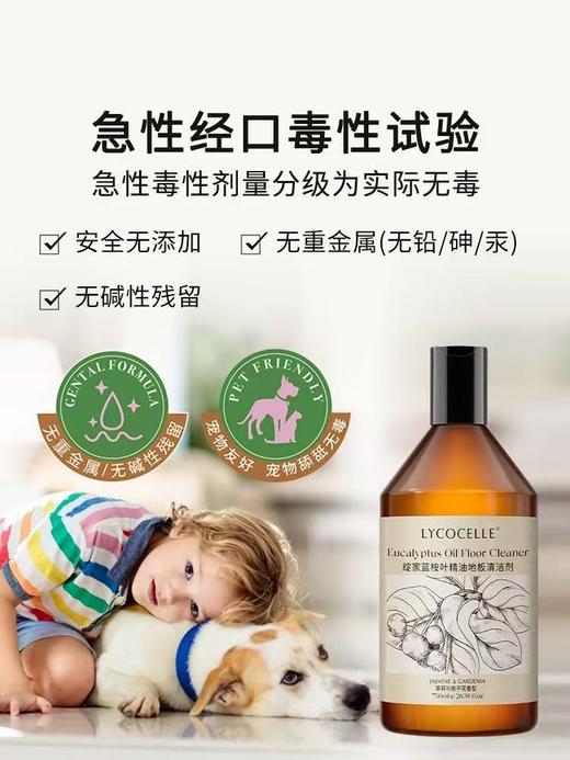 地板超级亮堂！绽家地板清洁剂 去污抑菌 750ml 商品图0