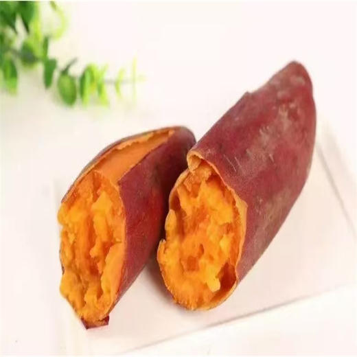 【季节慎拍】广东湛江稳田香稳村番薯（西瓜红） 商品图7