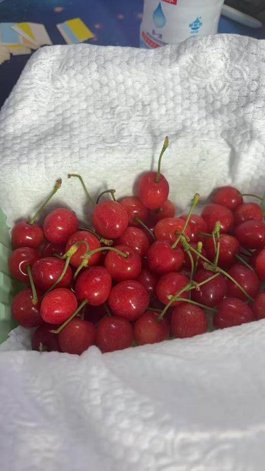 玛瑙红樱桃 商品图4