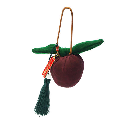 TANGY/天意2025新品民族风国风个性时尚网红包挂件CL252407 商品图2