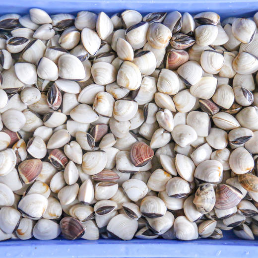 【吃断】全场鲜货任吃68元！平冈大八佬·自助火锅首波福利200份，坐下就回本 商品图6