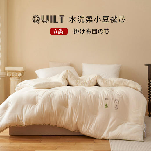 【水洗柔小豆被芯】柔柔大豆被芯纯色柔软被子简约保暖大豆被a类无染 商品图0