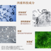 浦秀时光肌抗皱紧致柔肤水100ml/瓶 商品缩略图4