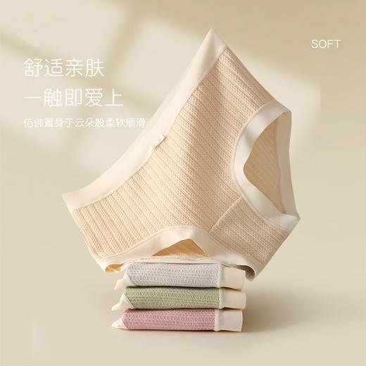 【花边女内裤】花边少女精梳内裤女士中腰舒适全棉中腰裆三角裤白边 商品图0