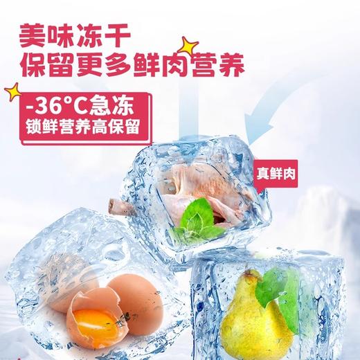 【雷米高】活力果全价幼猫奶糕粮猫粮小猫咪冻干肉蛋果蔬营养五拼主食 商品图1