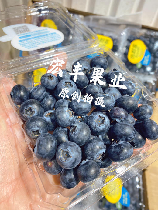 【宏丰精选】怡颗莓蓝莓，口感脆甜，花香味浓郁 活动价16.8元一盒 商品图2