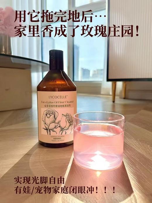 地板超级亮堂！绽家地板清洁剂 去污抑菌 750ml 商品图2