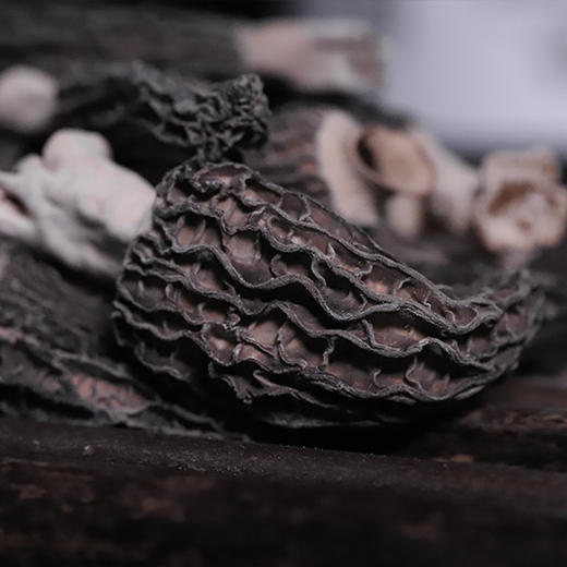 贵州黔西南兴义市多彩菇事羊肚菌50g/罐 商品图2