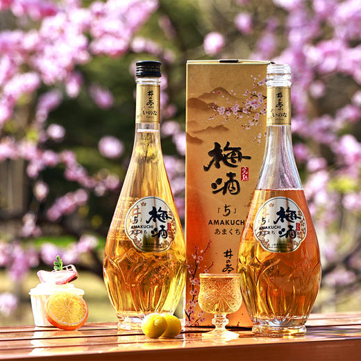 井奈梅酒 果酒 梅子酒 青梅酒 11度 720ml 礼盒 商品图6