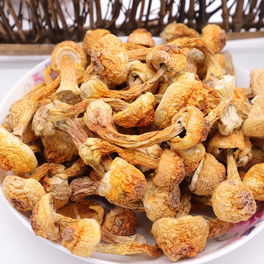 贵州黔西南兴义市多彩菇事姬松茸100g/罐 商品图4