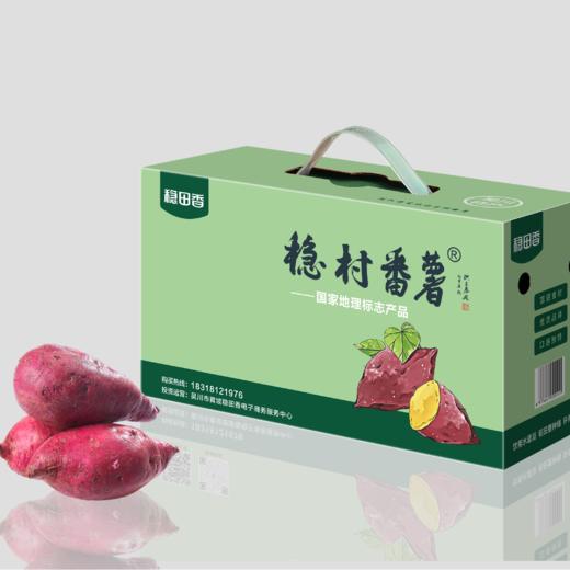 【季节慎拍】广东湛江稳田香稳村番薯（西瓜红） 商品图0