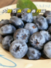 来自彩云之巅！有花香味的【莓里蓝莓】大颗饱满 果香四溢 口口脆甜 花香浓郁 富含花青素 现摘现发 新鲜到家~ 商品缩略图2