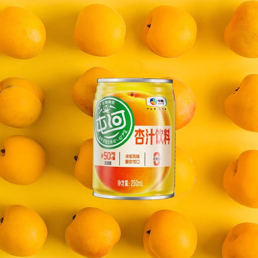 中粮屯河杏汁礼提装250ml*10 商品图4