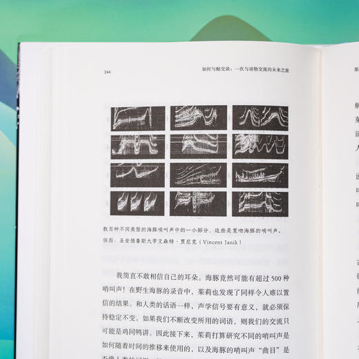 如何与鲸交谈：一次与动物交流的未来之旅 | 以大数据和人工智能探索与动物交流的未来前景，解码跨物种交流的前沿科技，读懂高智商动物的自然语言 商品图8