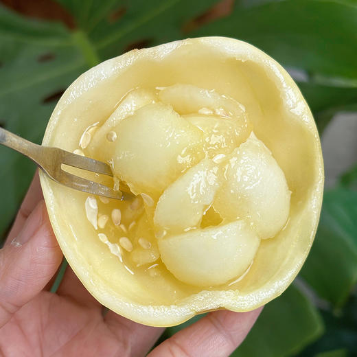 山东小蜜蜂甜瓜 巴掌大 飙蜜汁 商品图3