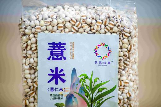 贵州黔西南兴义市多彩谷事薏米500g/袋 商品图2