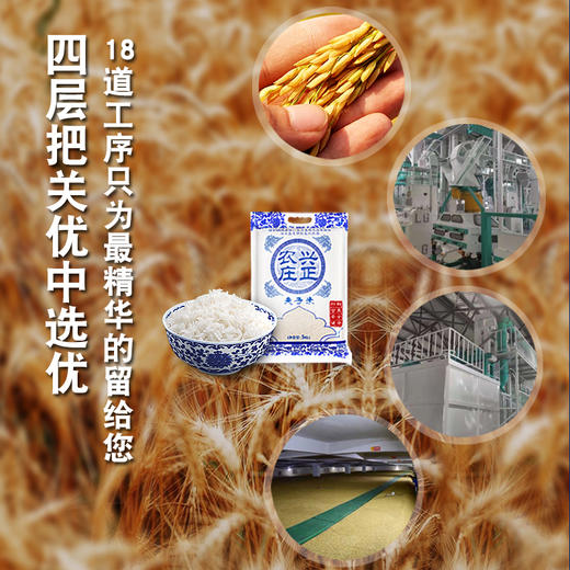 【武汉.黄陂】江城百臻兴正农庄夫子米5kg 商品图2