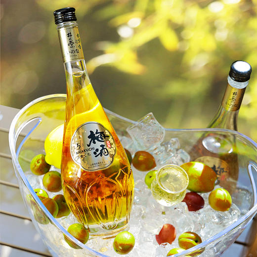 井奈梅酒 果酒 梅子酒 青梅酒 11度 720ml 礼盒 商品图3