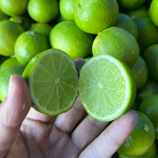 云南塔希提无籽香水青柠檬 商品图8