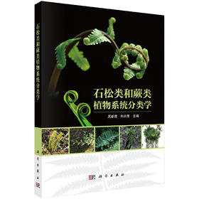 石松类和蕨类植物系统分类学