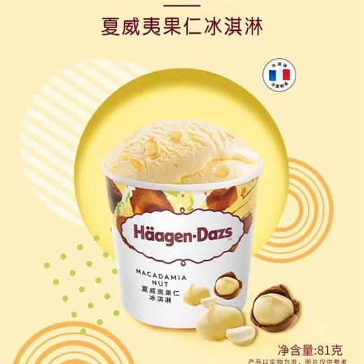 哈根达斯冰淇淋 夏威夷果仁81g 商品图1