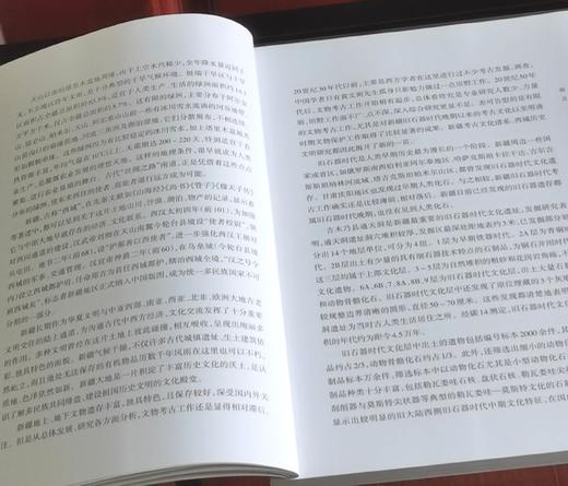 绝版！！《新疆岩画调查与编年研究》，16开，平装，铜版彩印，吕恩国著，新疆人民出版社2023年一版一印，177页，定价106，售价105元。 商品图7