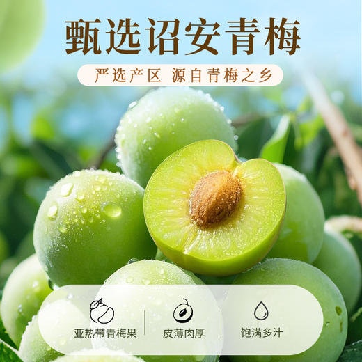 【满299-210】百草味陈皮梅片66g 商品图2
