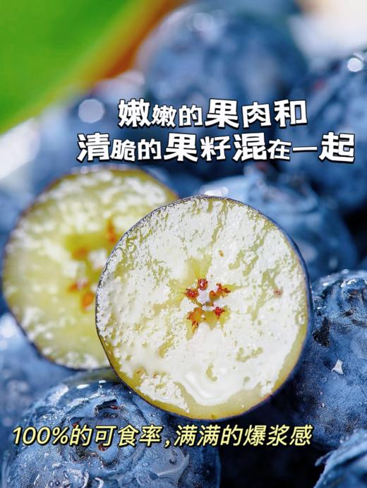 来自彩云之巅！有花香味的【莓里蓝莓】大颗饱满 果香四溢 口口脆甜 花香浓郁 富含花青素 现摘现发 新鲜到家~ 商品图4