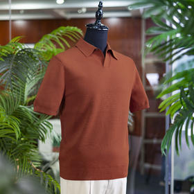 夏季新款男士纯棉短袖POLO衫T恤  两款 多色可选