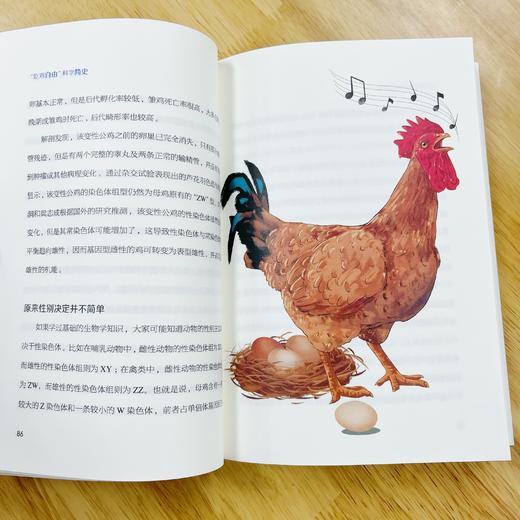 “吃鸡自由”科学简史 从霸主到肉鸡，一部鸡的“另类”进击简史！ 商品图4
