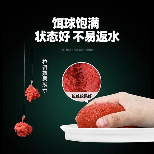 汉鼎必有口鱼饵饵料鲤鱼饵料野钓鱼食全能香腥饵鲫鱼一包搞定饵料 商品图3