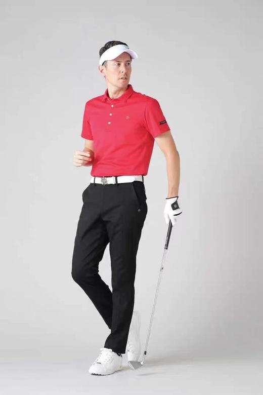 日本St ANDREWS高尔夫男装夏季吸汗速干翻领短袖T恤 商品图2