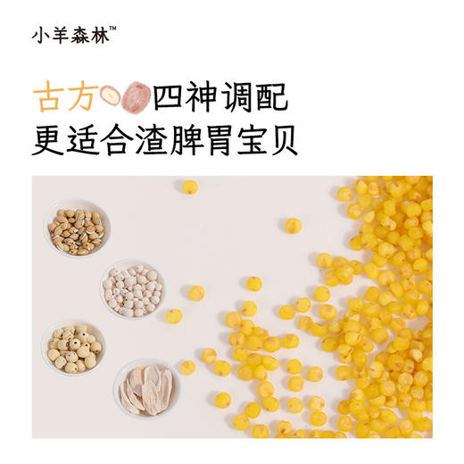 「四神预拌粉」营养早餐  5分钟搞定四神小蛋糕 商品图2