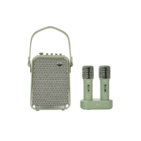 音箱 双麦K歌东方青鸾2代 绿 - 点音