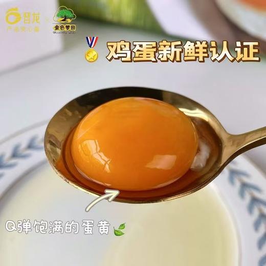 【10号晚24点截单 周一至周三晚发货 周五-周日不发货 五谷鸡蛋30枚装送20枚 实发50枚】不卖隔夜蛋 口感细腻 香嫩Q弹 无激素 无抗生素 无沙门氏菌 商品图0