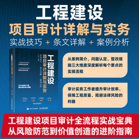 工程建设项目审计详解与实务 实战技巧+条文详解+案例分析