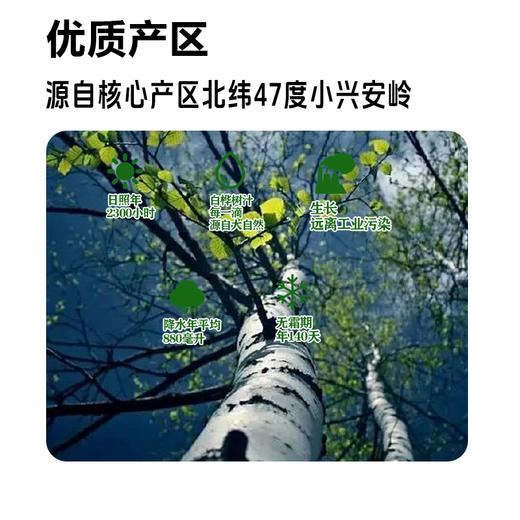 【顺丰包邮】九峰山养心谷白桦树汁养生健康饮品天然植物饮料 商品图2