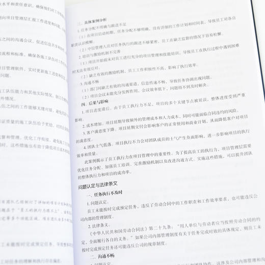 工程建设项目审计详解与实务 实战技巧+条文详解+案例分析 商品图3