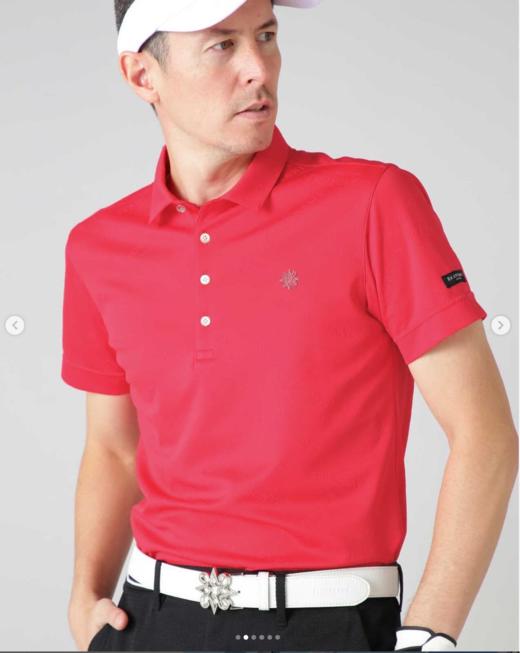 日本St ANDREWS高尔夫男装夏季吸汗速干翻领短袖T恤 商品图0