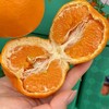 柑橘皇后～精笃大雅柑【净重约7斤】 商品缩略图3