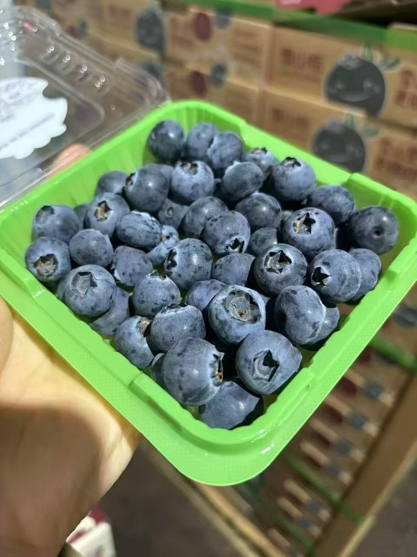 ✨必入推荐！雪山恬 L25花香蓝莓，一直被模仿无法被超越！天气热长得快，皮更薄了，花香更浓郁，口感肉一些，纯甜！