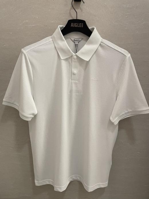 艾高 短袖POLOT恤男  BI731-F . 商品图0