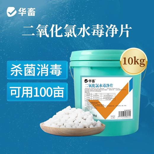 华畜二氧化氯水毒净片鱼虾蟹池塘小龙虾水产养殖杀菌消毒鱼药水塘 商品图0