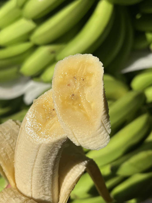 云南威尼斯香蕉
口感甜软细滑，香糯无比～
不泡药不泡保鲜剂，不催熟，真正的健康安全，收到后打开箱子从保鲜袋里拿出来，把水分擦干净，再继续放个苹果两三天就可以香甜无比！4斤/箱 商品图1