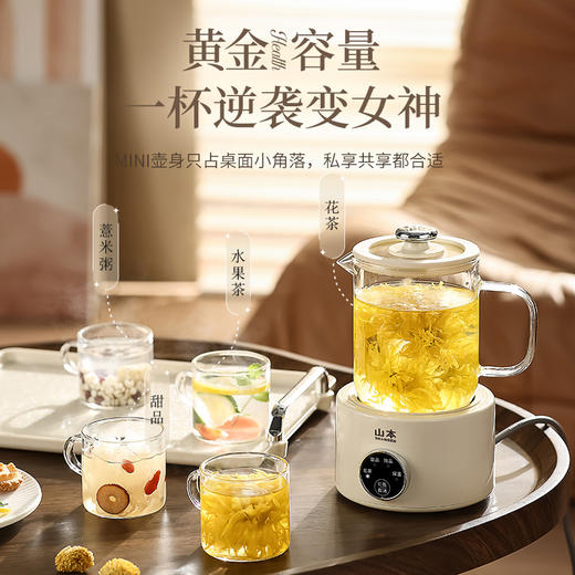 山本养生壶养生杯多功能家用小型迷你办公室烧水煮茶壶玻璃花茶 商品图1