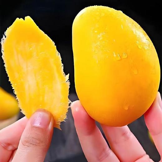 台农芒约2斤 商品图2